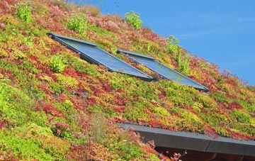 Bromborough Pool living roof systems